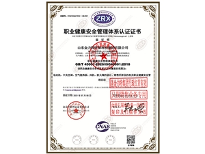 職業(yè)健康安全管理體系認證證書