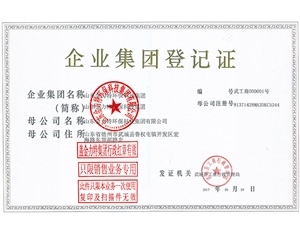 企業(yè)集團登記證