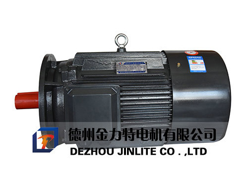 YD系列變極多速三相異步電動機(jī)