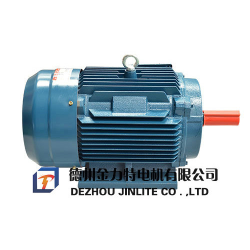 YDT系列變極多速三相異步電動(dòng)機(jī)